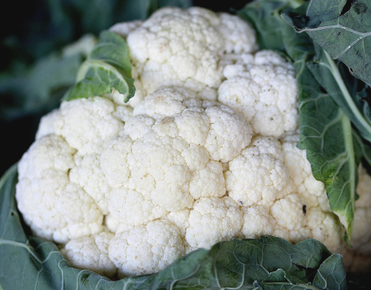 Cauliflower Growing Instructions